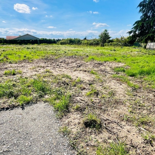  WEALSTONE : Ground | FEURS (42110) | 0 m2 | 51 000 € 