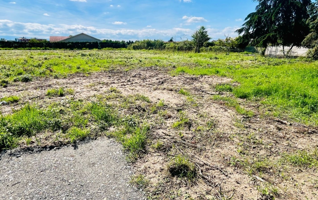 WEALSTONE : Ground | FEURS (42110) | 0 m2 | 51 000 € 