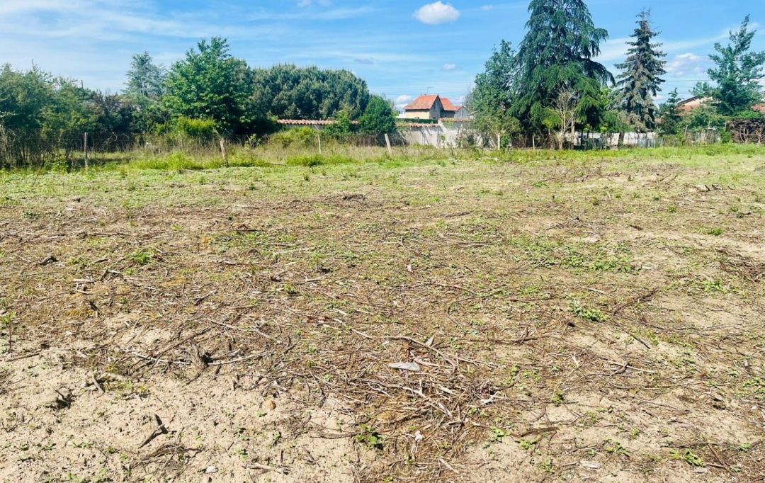 WEALSTONE : Ground | FEURS (42110) | 0 m2 | 51 000 € 