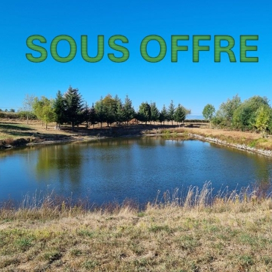 WEALSTONE : Terrain | SAINT-MEDARD-EN-FOREZ (42330) | m2 | 95 000 € 