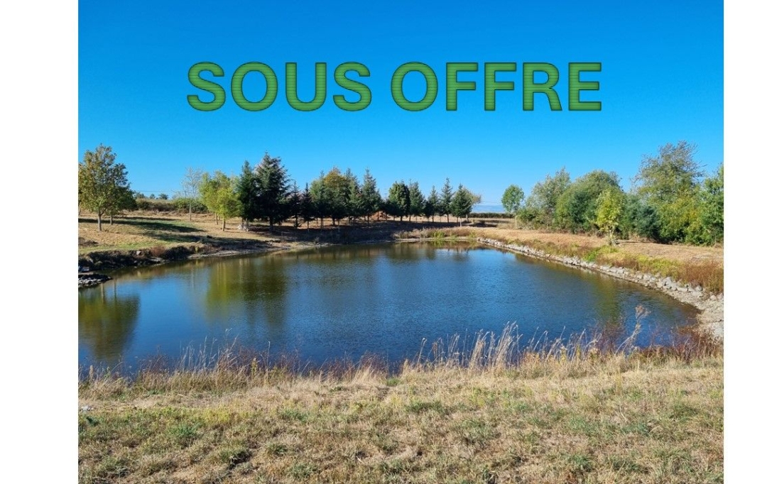 WEALSTONE : Terrain | SAINT-MEDARD-EN-FOREZ (42330) | 0 m2 | 95 000 € 